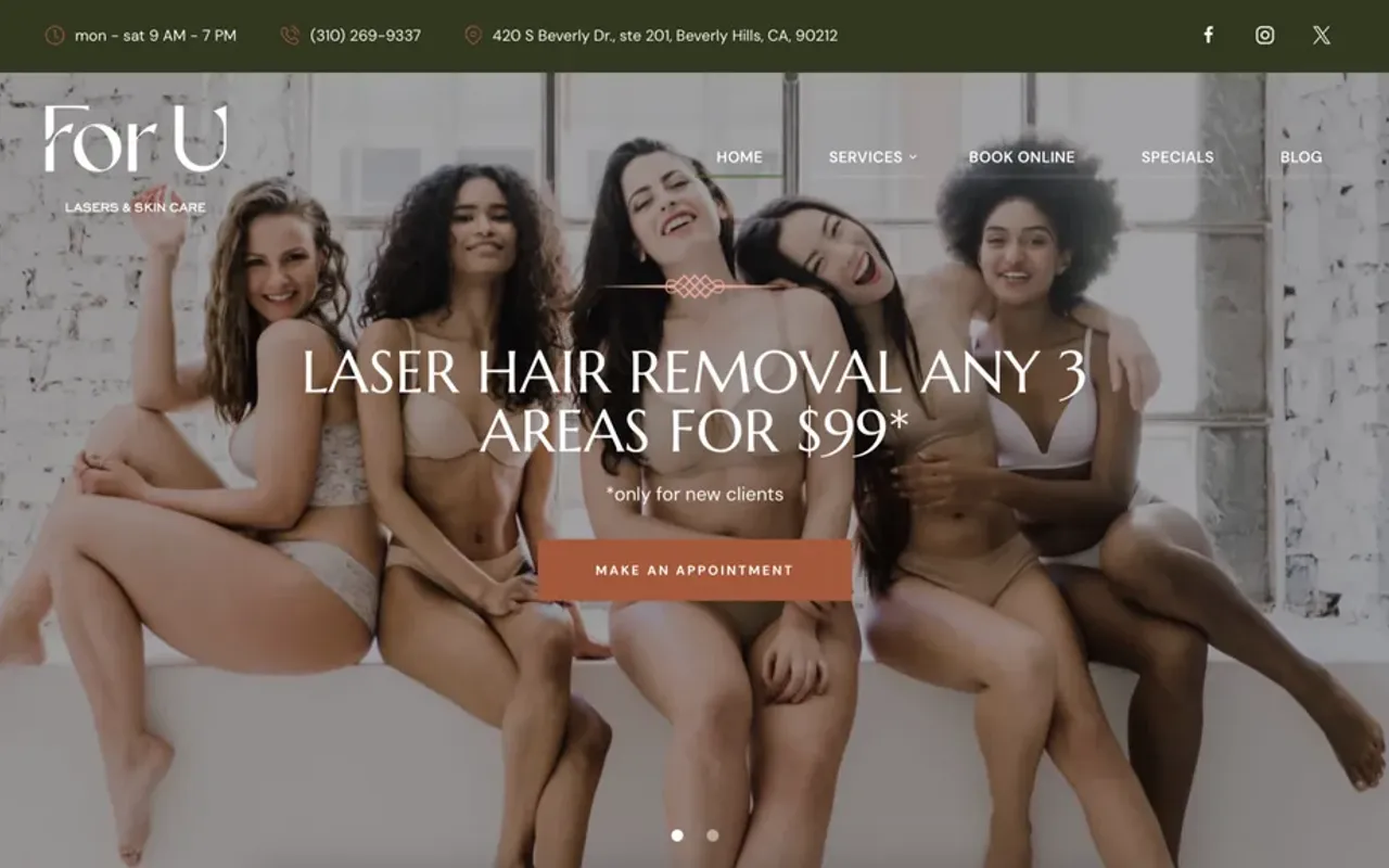 Forulaser website, first screen